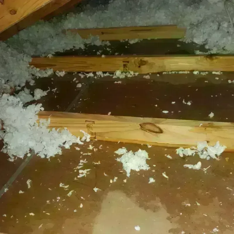 Attic Water Damage in Redwood Valley, CA